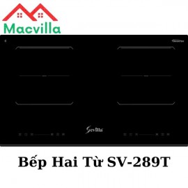 Bếp Hai Từ SV-289T